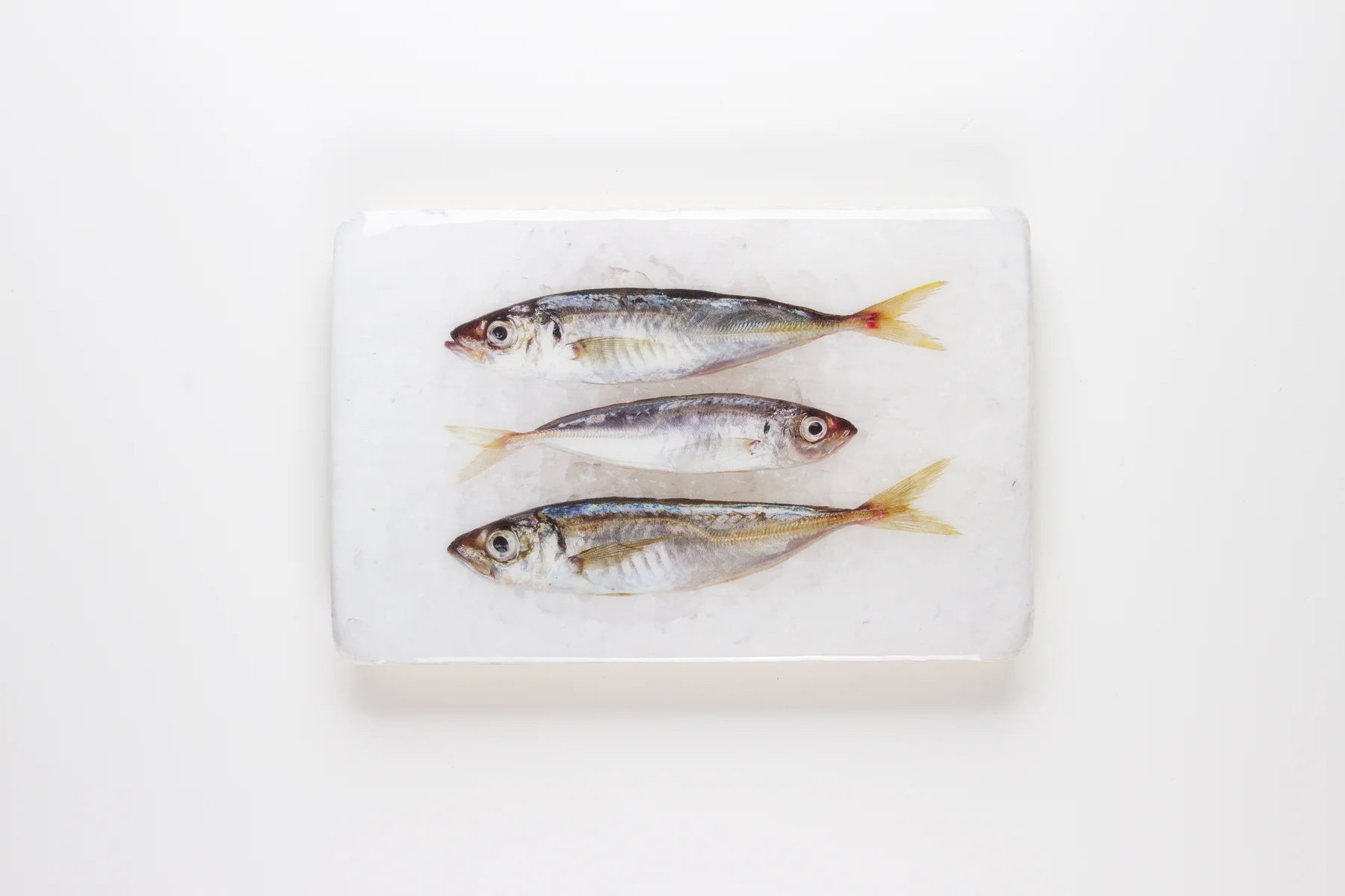 StigerWoods wooden tile Three Spanish Horse Mackerels