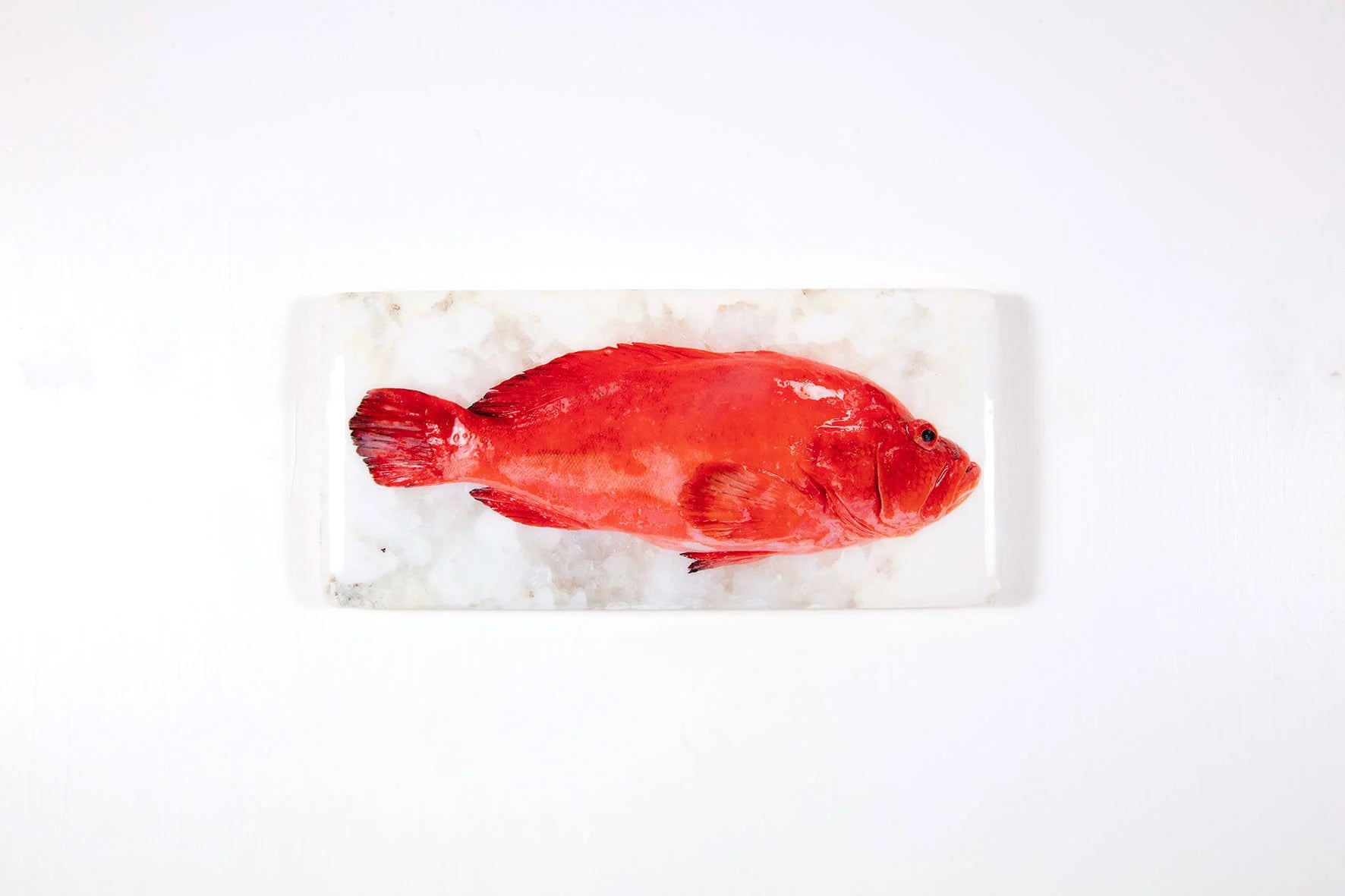 StigerWoods wooden tile Tomato Grouper