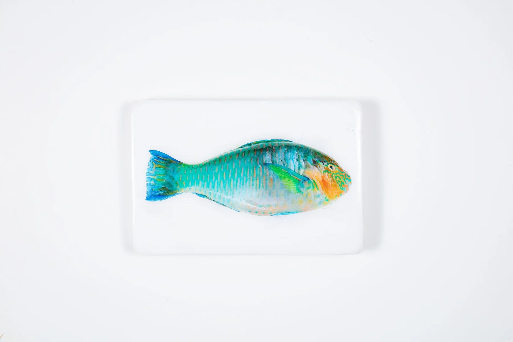 StigerWoods wooden tile Turquoise Parrot Fish