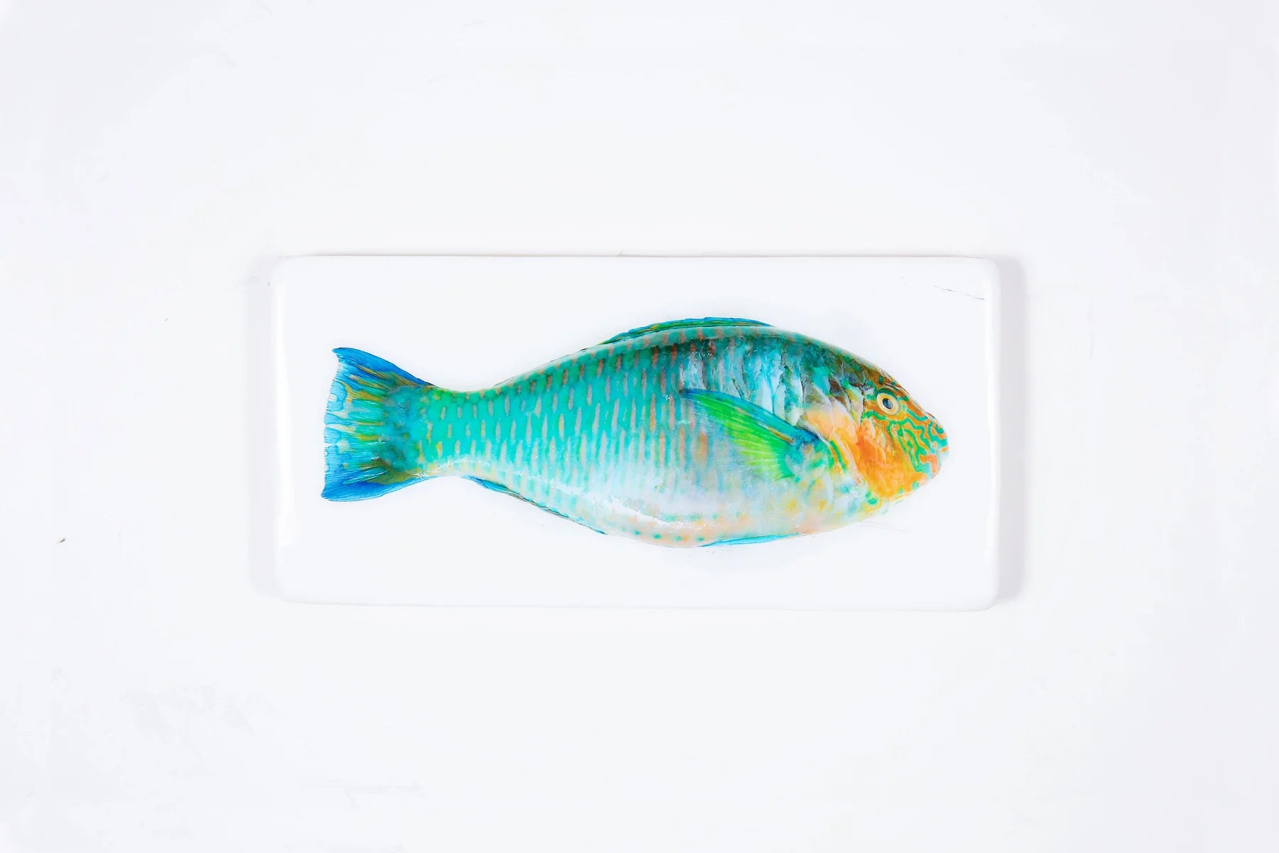 StigerWoods wooden tile Turquoise Parrot Fish