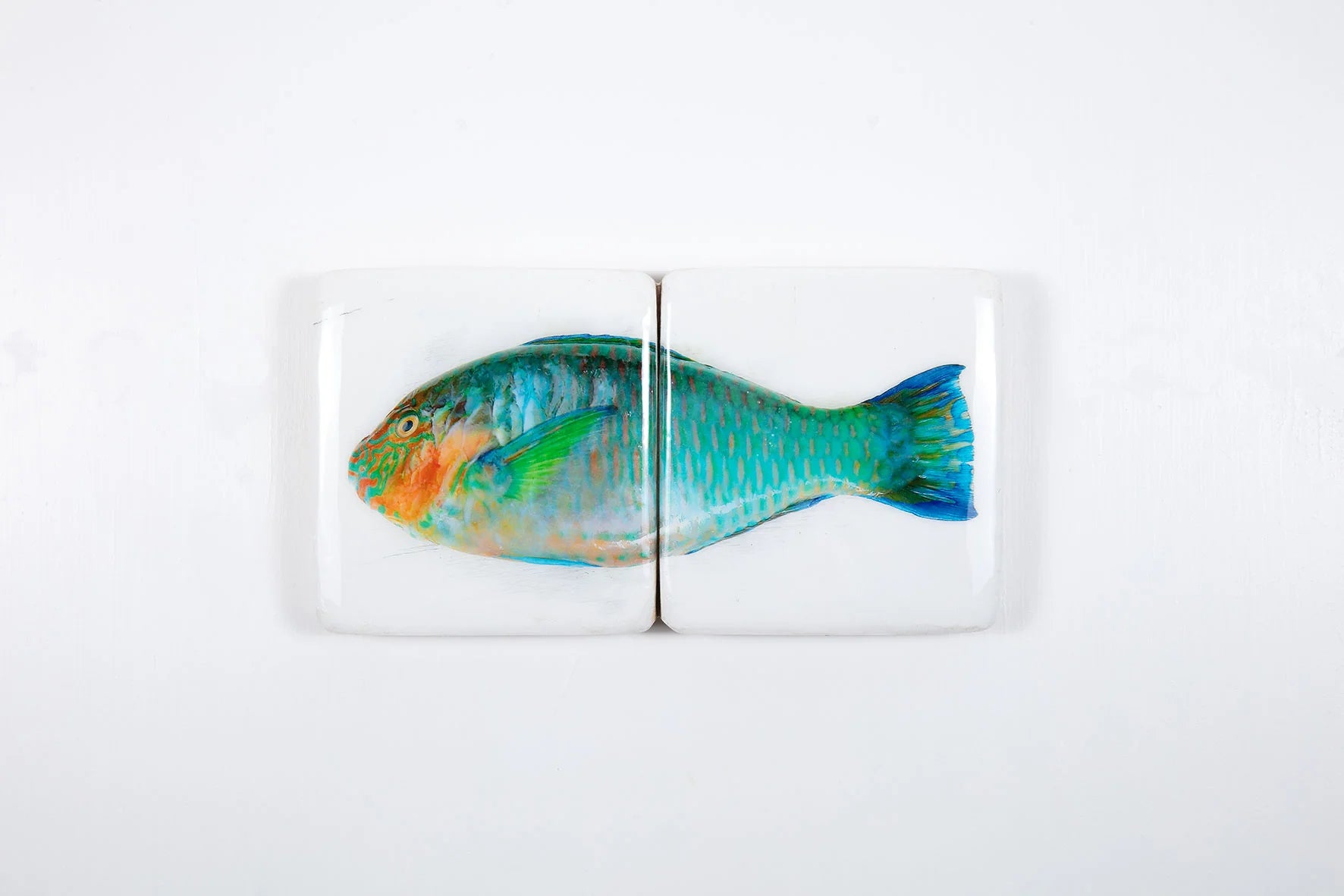 StigerWoods wooden tile Turquoise Parrot Fish