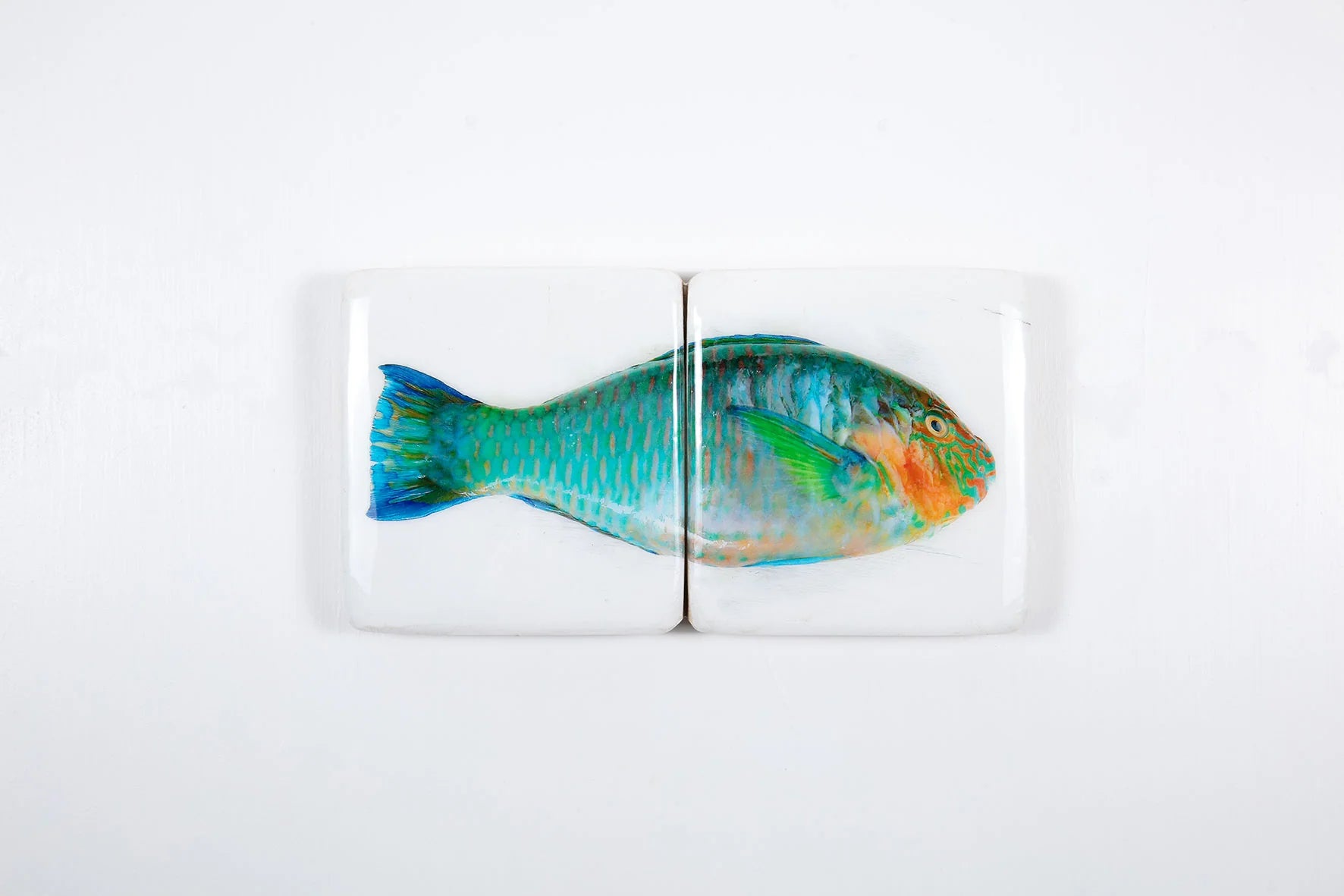 StigerWoods wooden tile Turquoise Parrot Fish