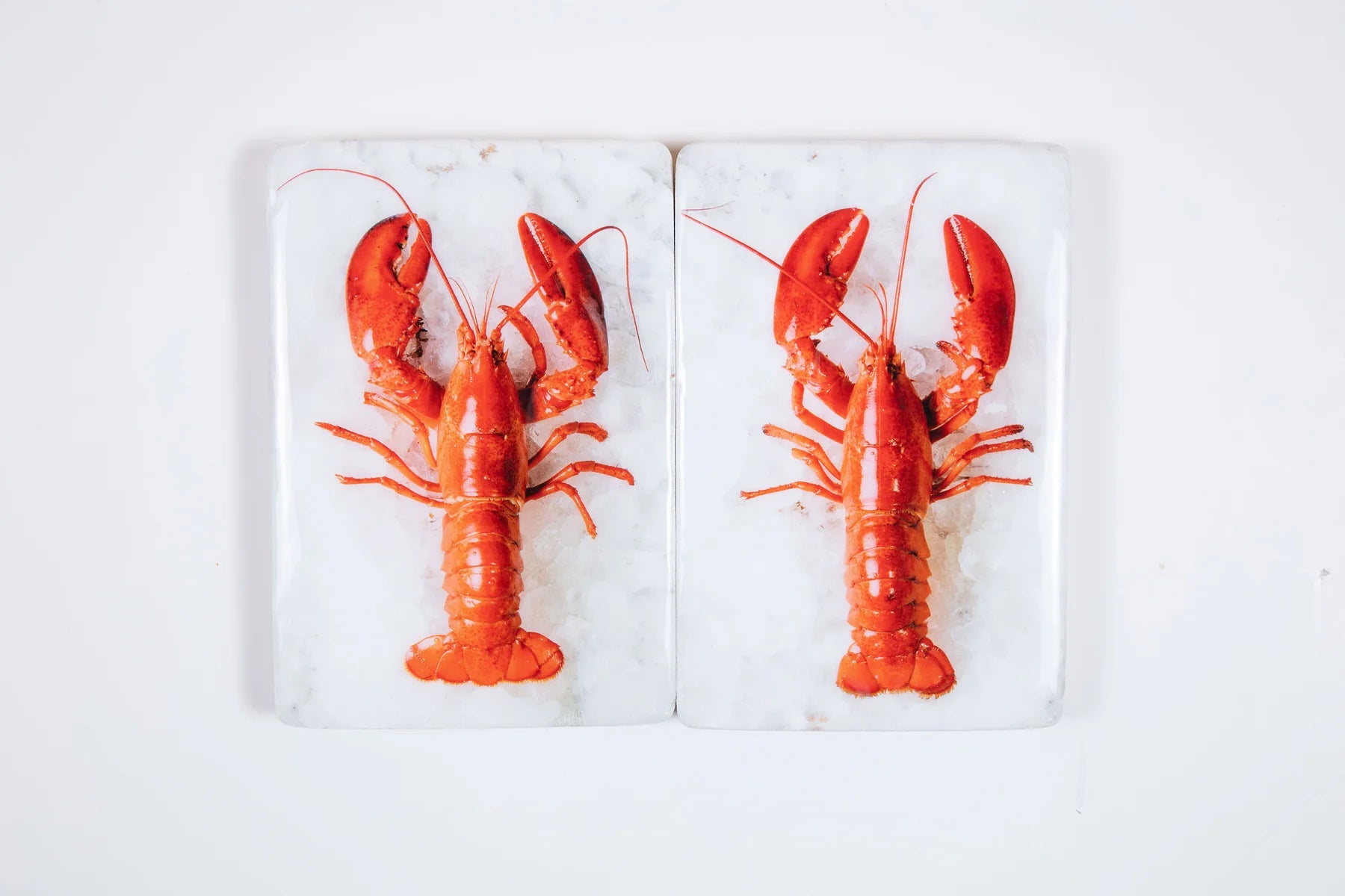 StigerWoods wooden tile Twin Lobsters