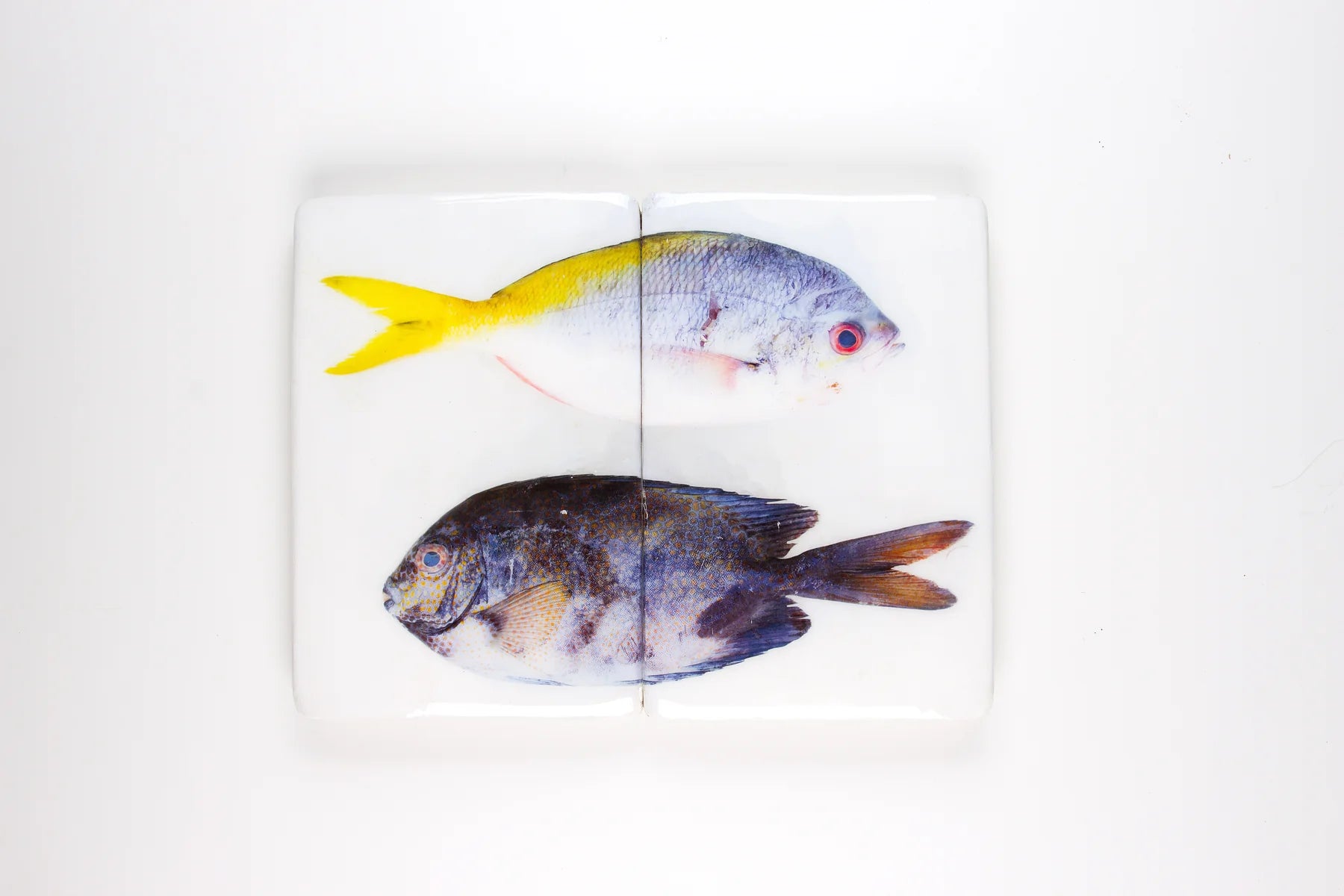 StigerWoods wooden tile Yellowtail Fusilier and Gold-Spotted Rabbitfish
