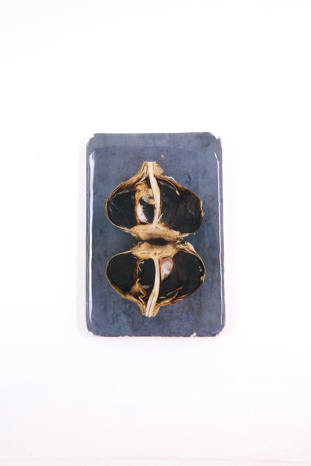 StigerWoods wooden tile Two Black Garlic