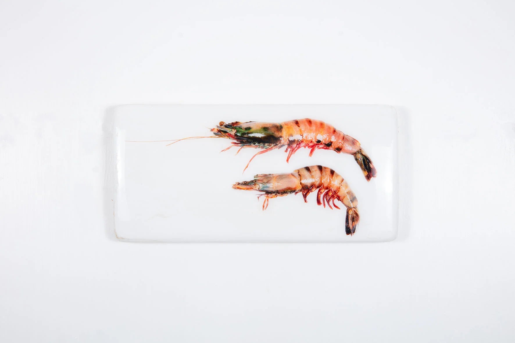 StigerWoods wooden tile Two Coloured Giant Shrimps