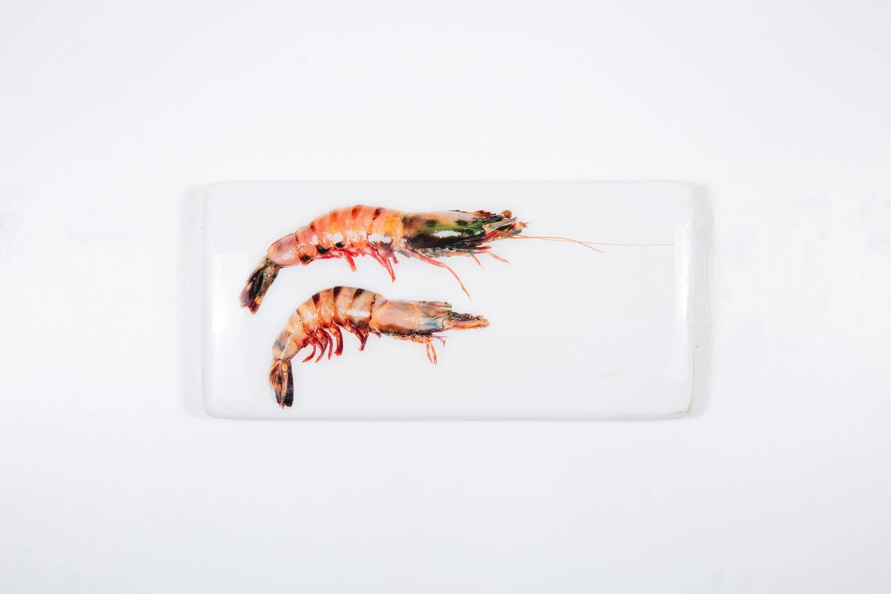 StigerWoods wooden tile Two Coloured Giant Shrimps