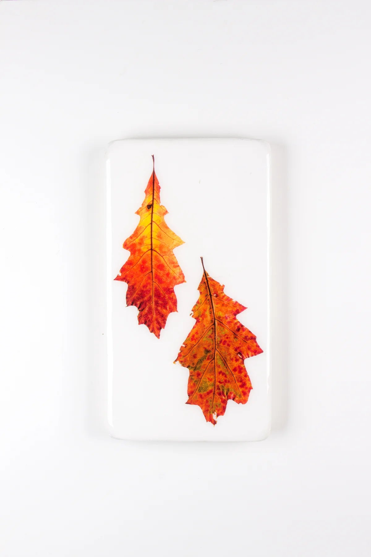 StigerWoods wooden tile Two Oak Leaves
