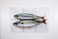 StigerWoods wooden tile Two Mackerels on Paper