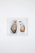 StigerWoods wooden tile Two Open Oysters