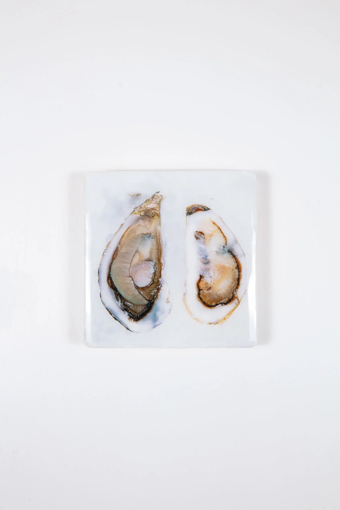 StigerWoods wooden tile Two Open Oysters