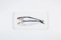 StigerWoods wooden tile Two Sardines