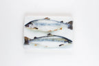 StigerWoods wooden tile Two Scottish Salmon