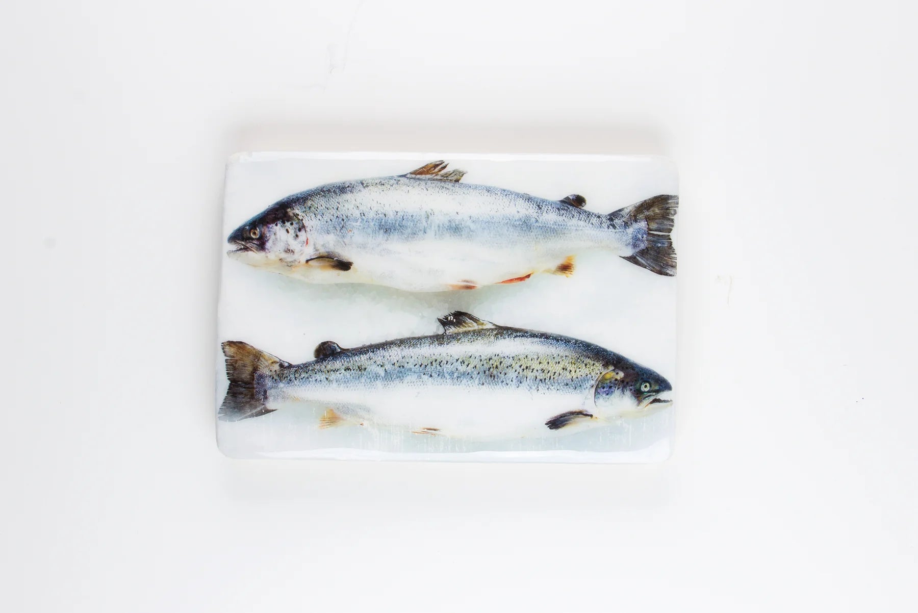 StigerWoods wooden tile Two Scottish Salmon