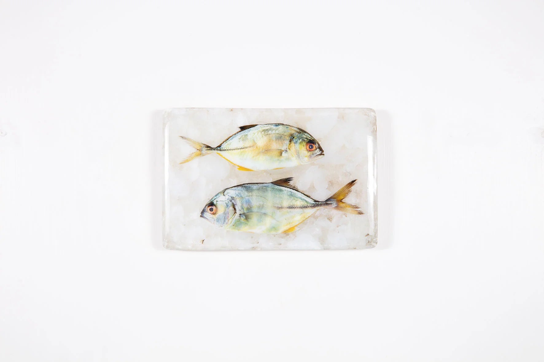 StigerWoods wooden tile Two Small Yellow Trevallies
