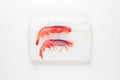 StigerWoods wooden tile Two Spanish Shrimps