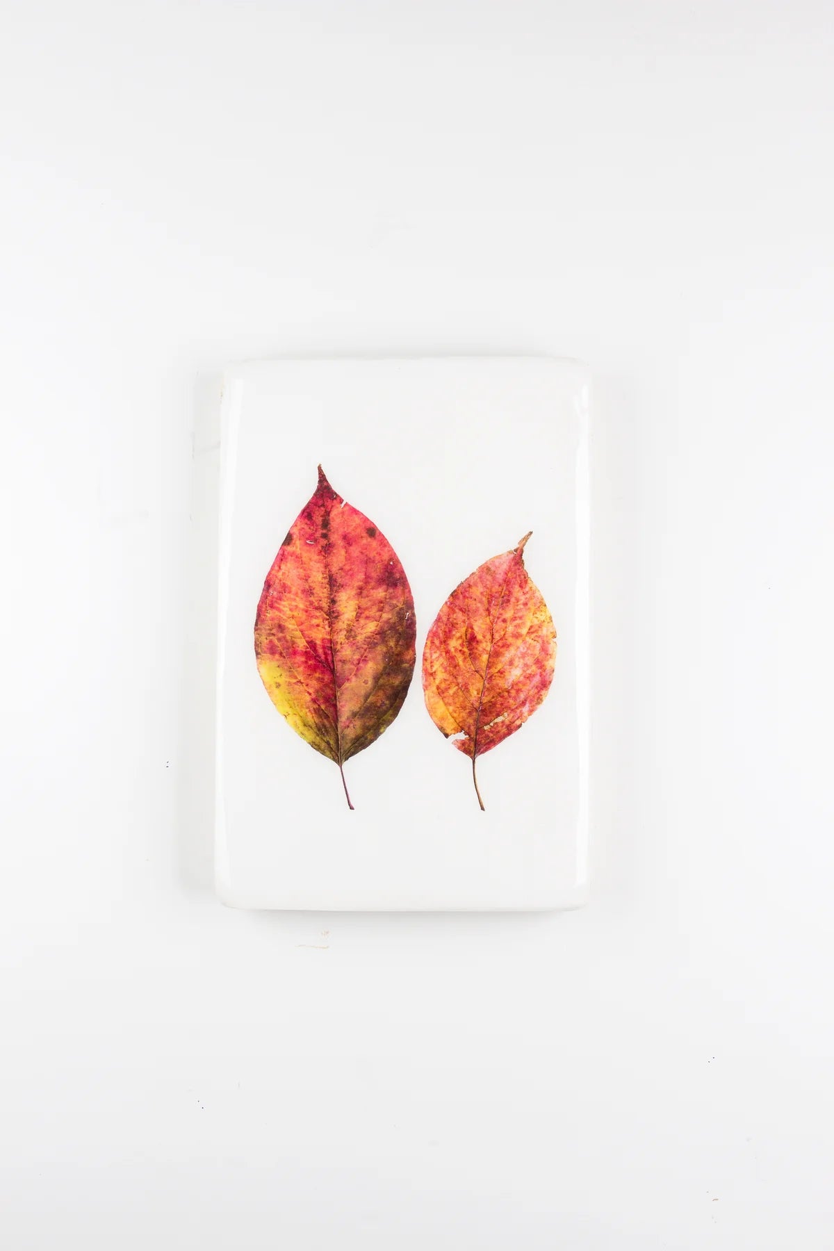 StigerWoods wooden tile Two Autumn Leaves