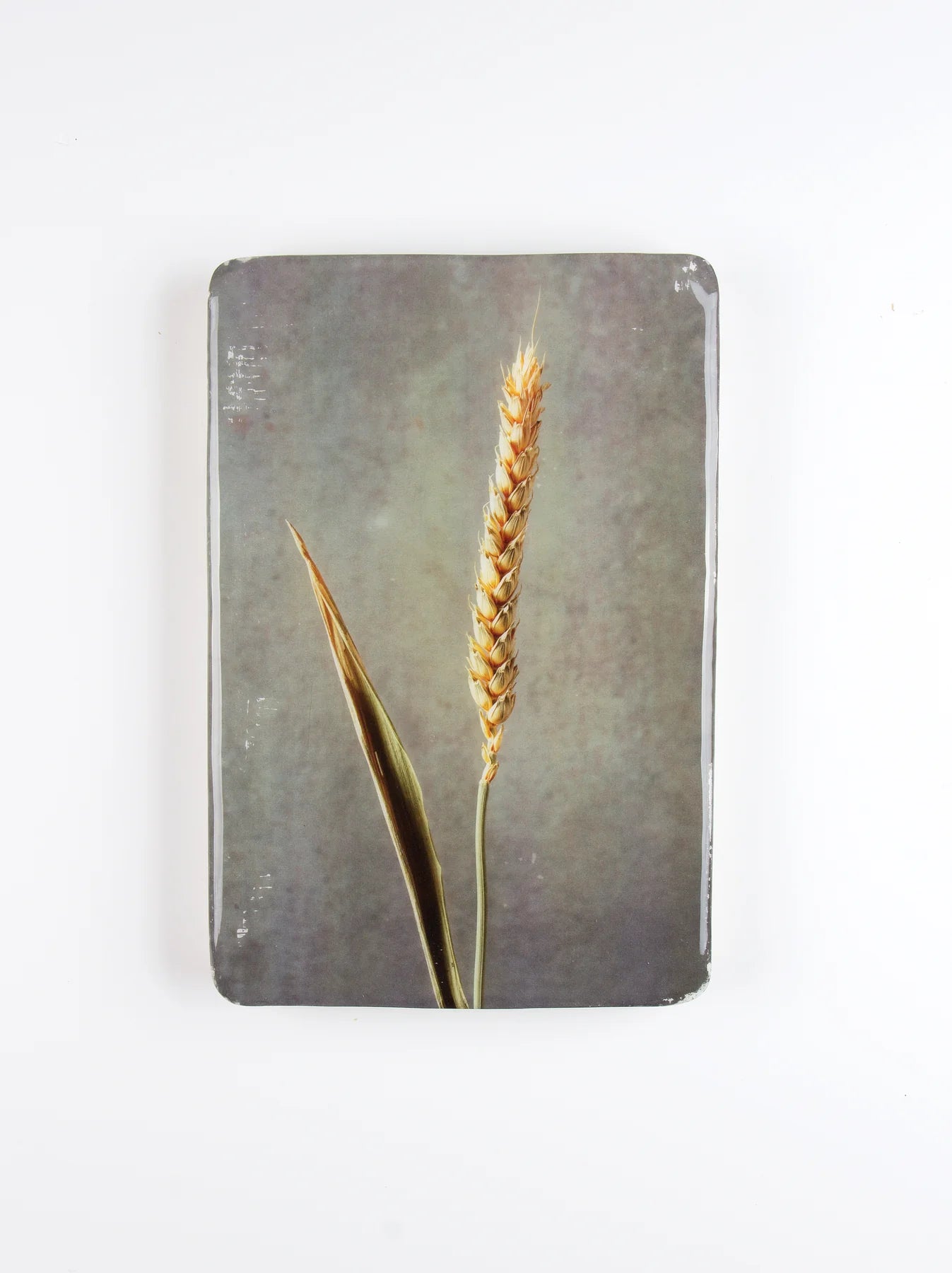 StigerWoods wooden tile Wheat