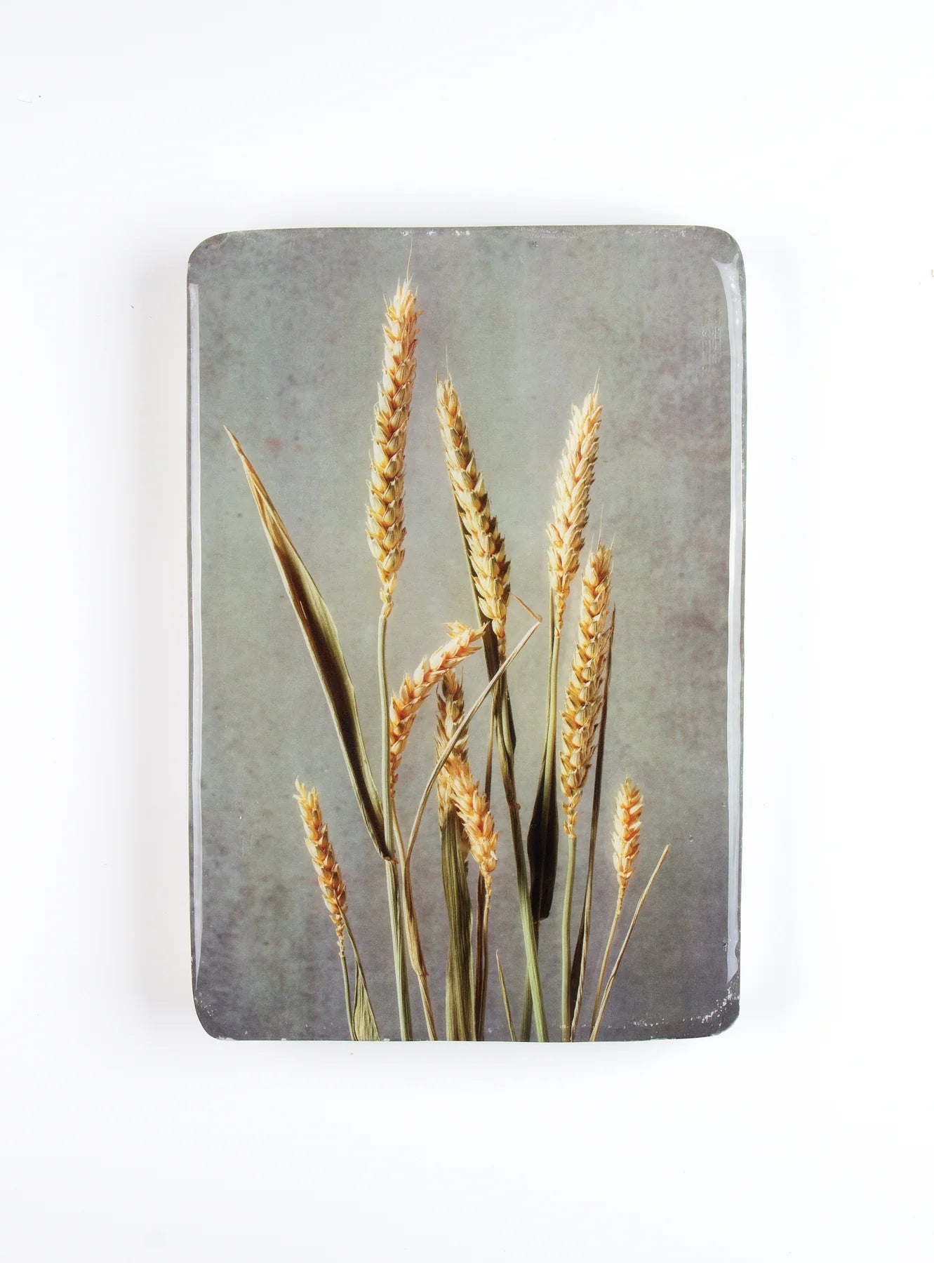 StigerWoods wooden tile Wheat
