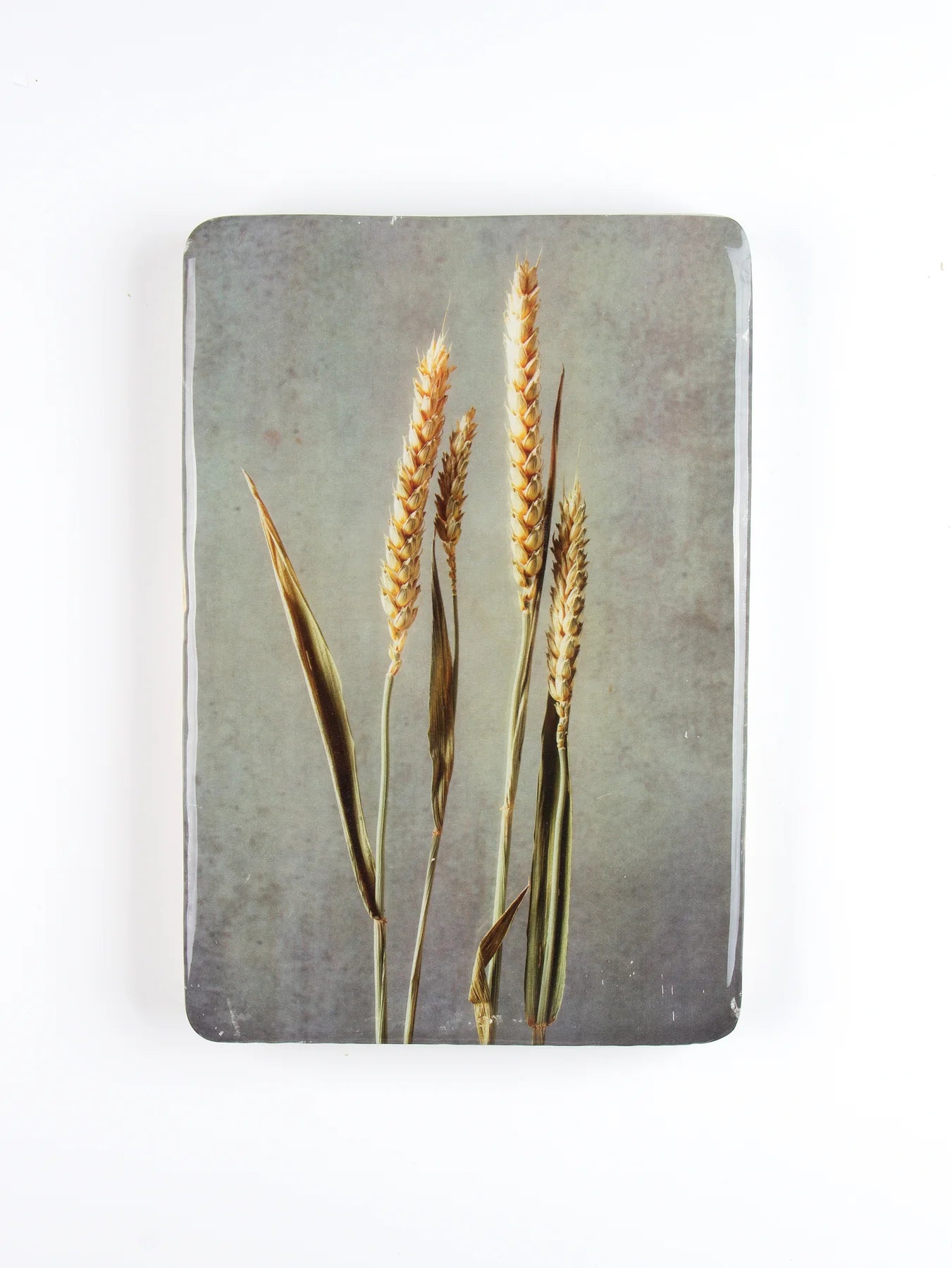 StigerWoods wooden tile Wheat