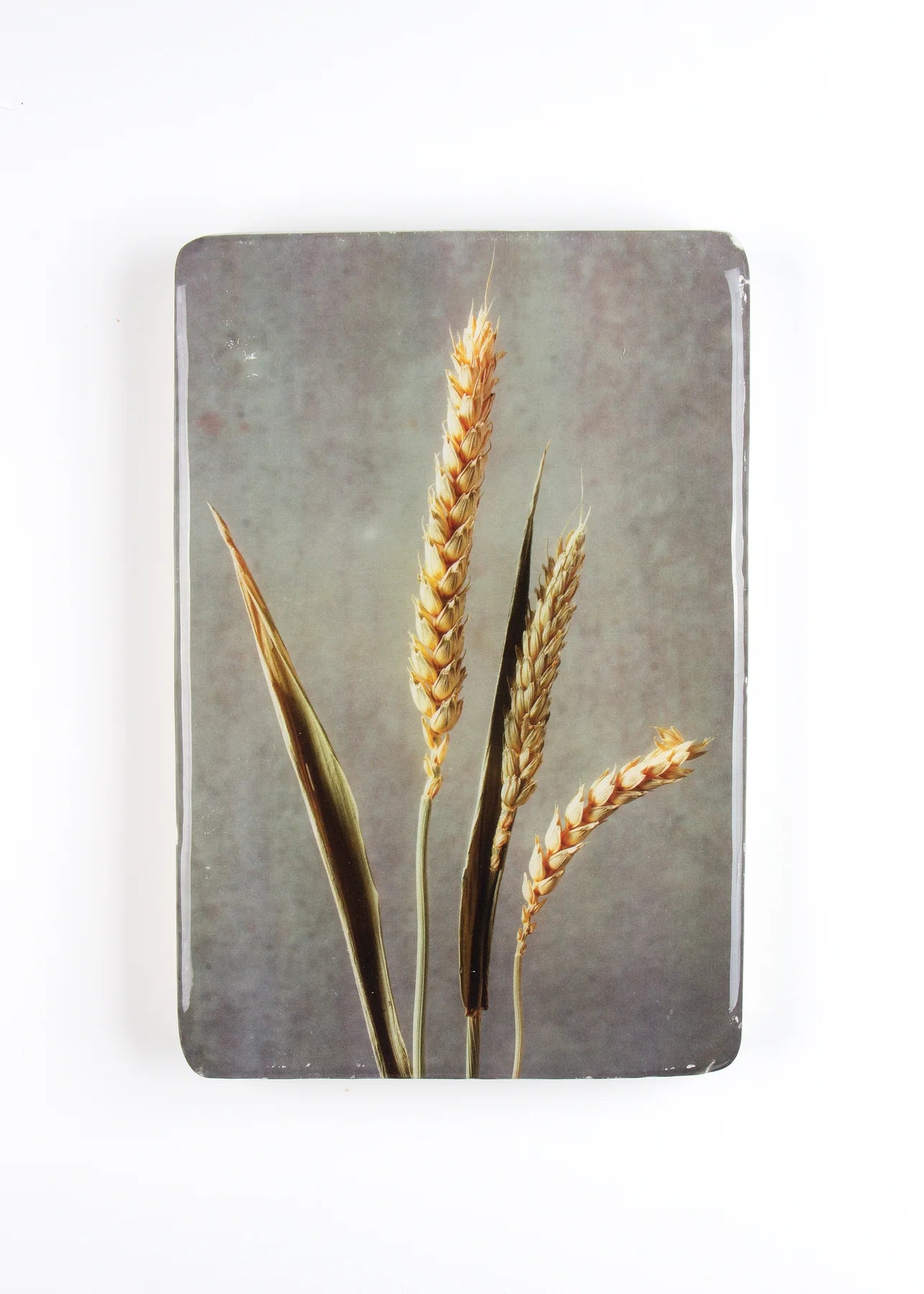 StigerWoods wooden tile Wheat