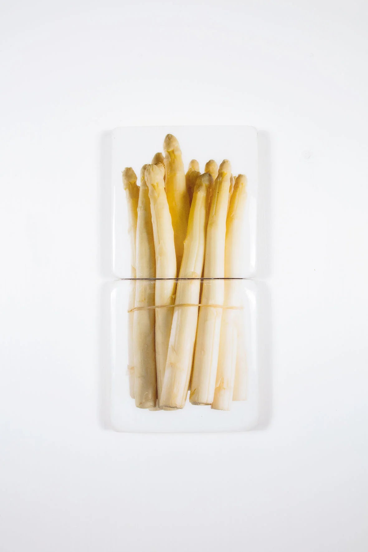 StigerWoods wooden tile White Asparagus