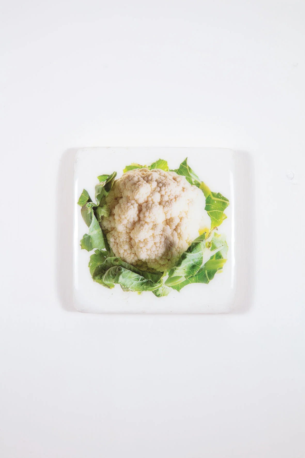 StigerWoods wooden tile White Cauliflower