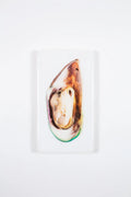 StigerWoods wooden tile White Mussel