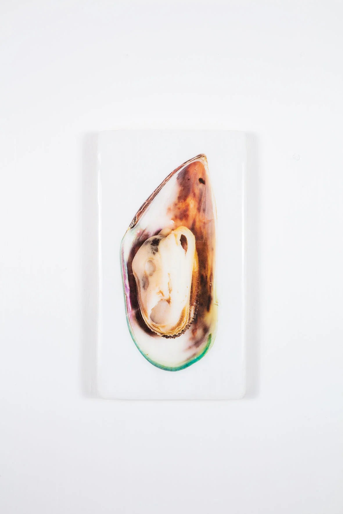 StigerWoods wooden tile White Mussel