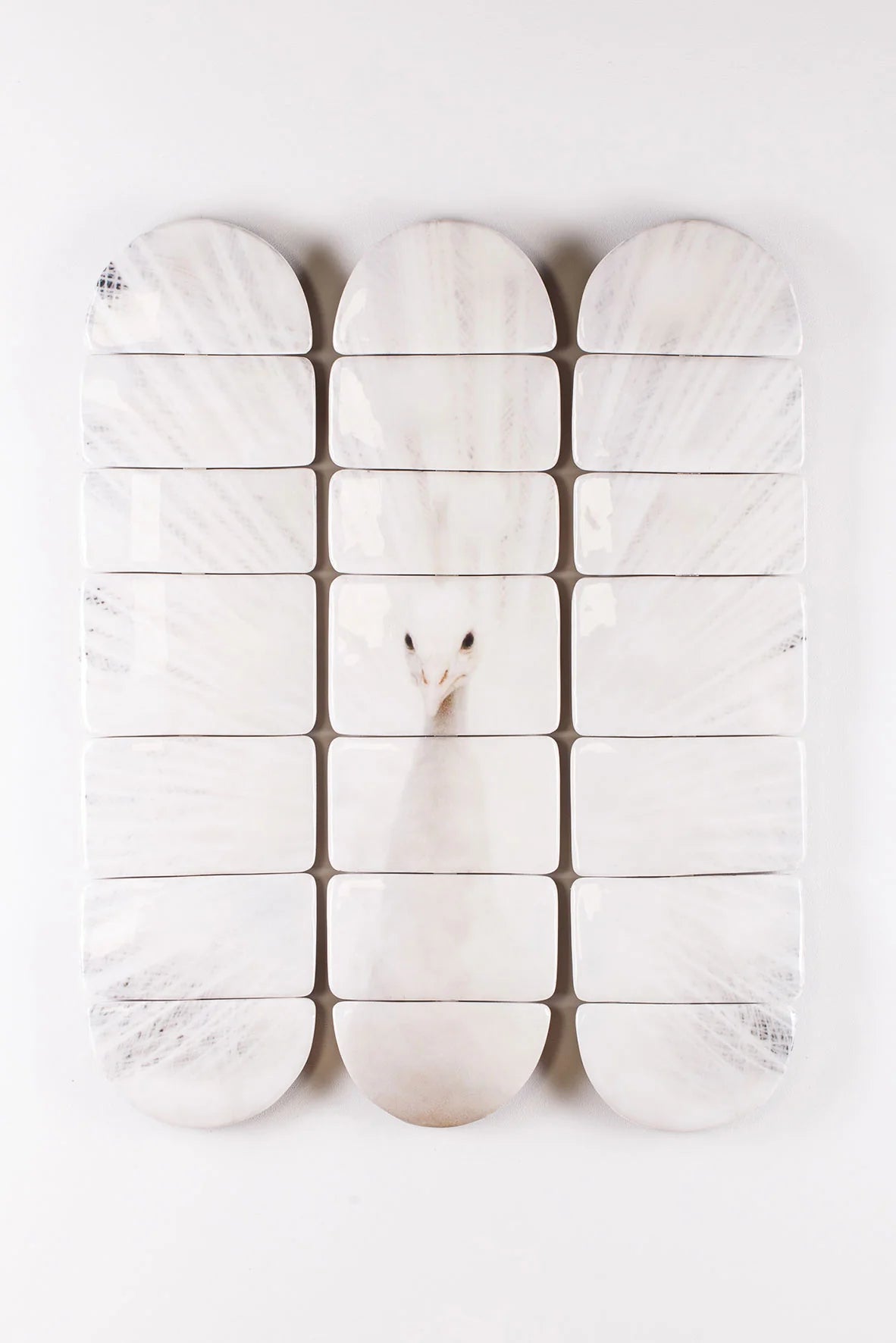 StigerWoods wooden tile White Peacock Decks