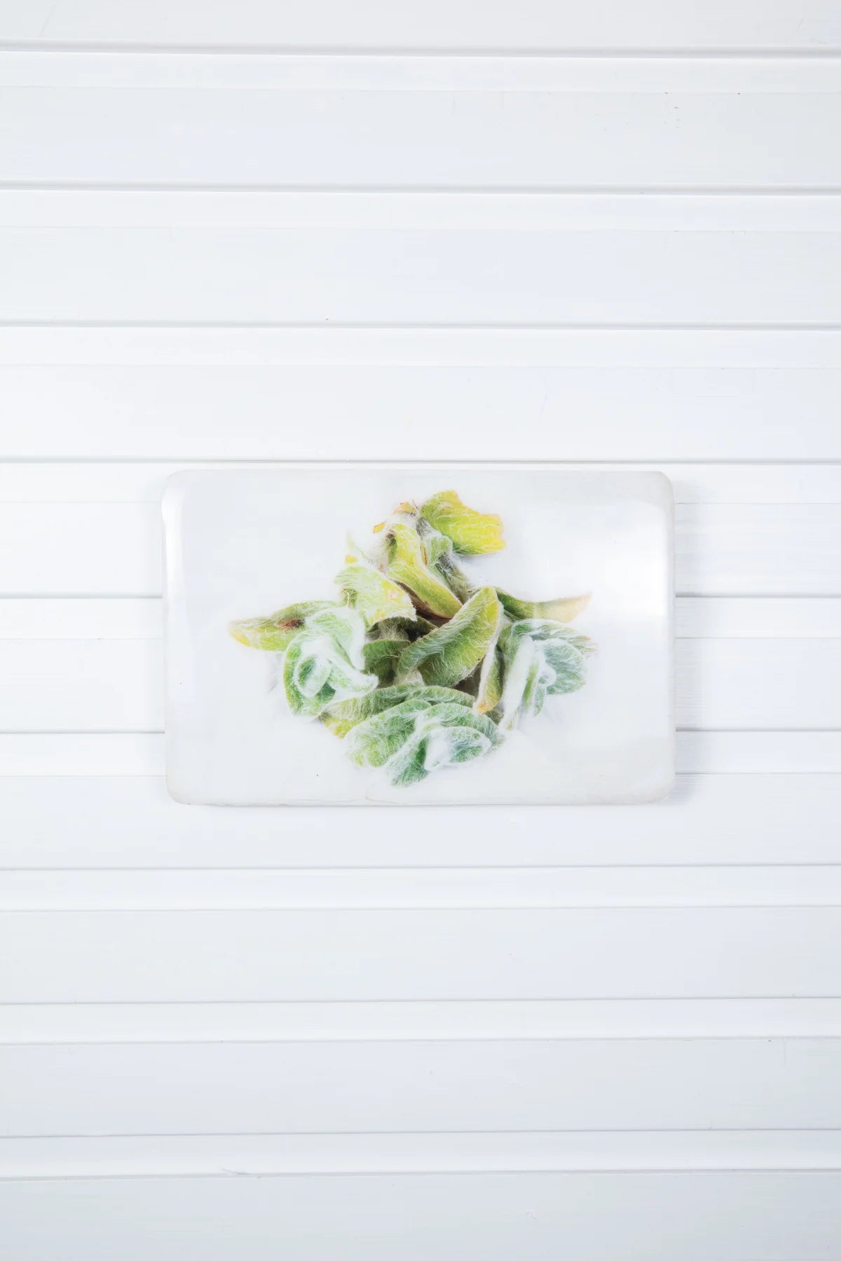 StigerWoods wooden tile White Velvet