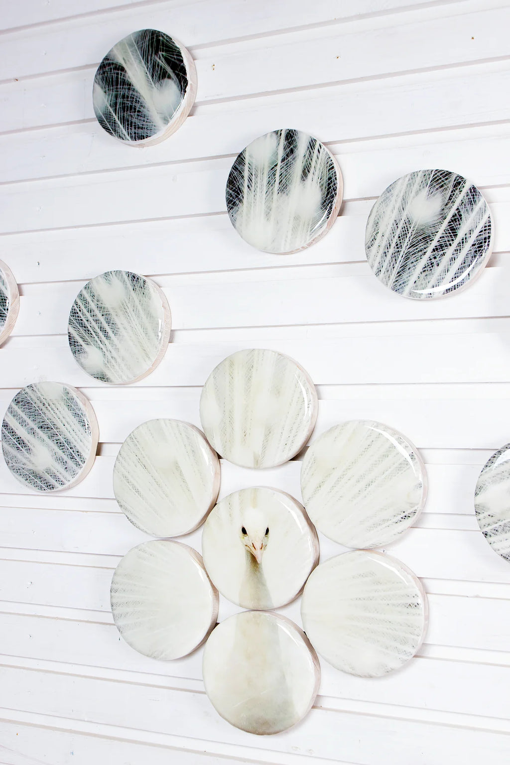 StigerWoods wooden tile White Peacock