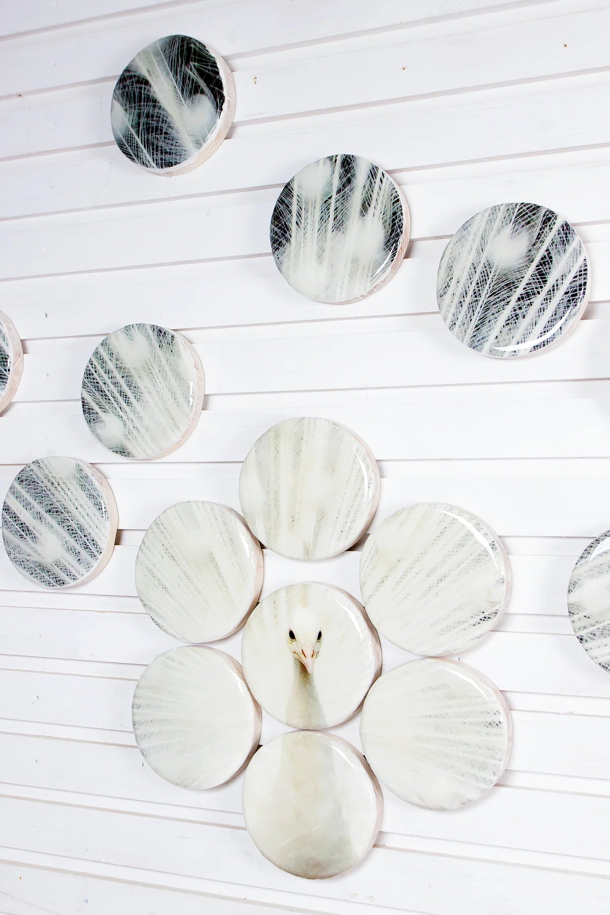 StigerWoods wooden tile White Peacock