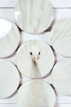 StigerWoods wooden tile White Peacock
