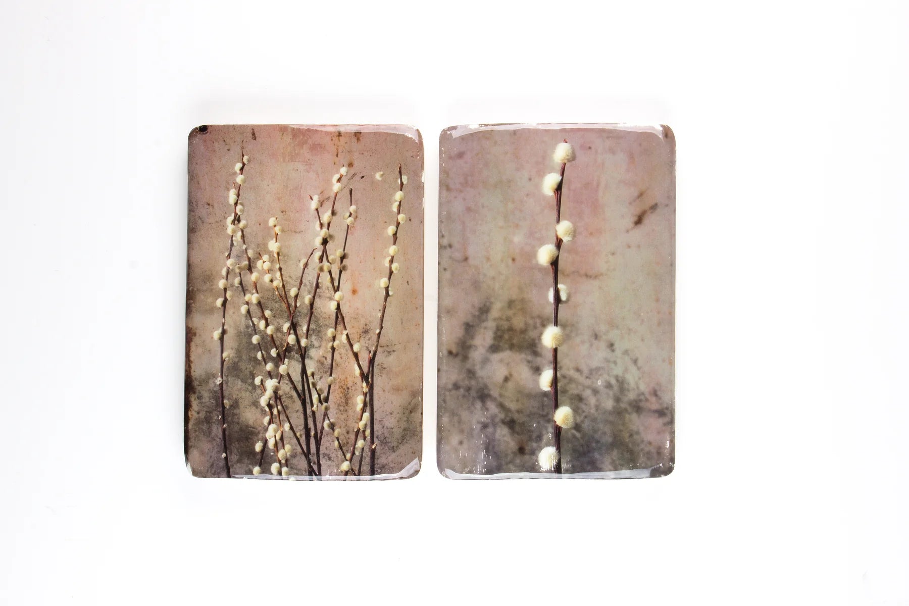 StigerWoods wooden tile Willow Catkin