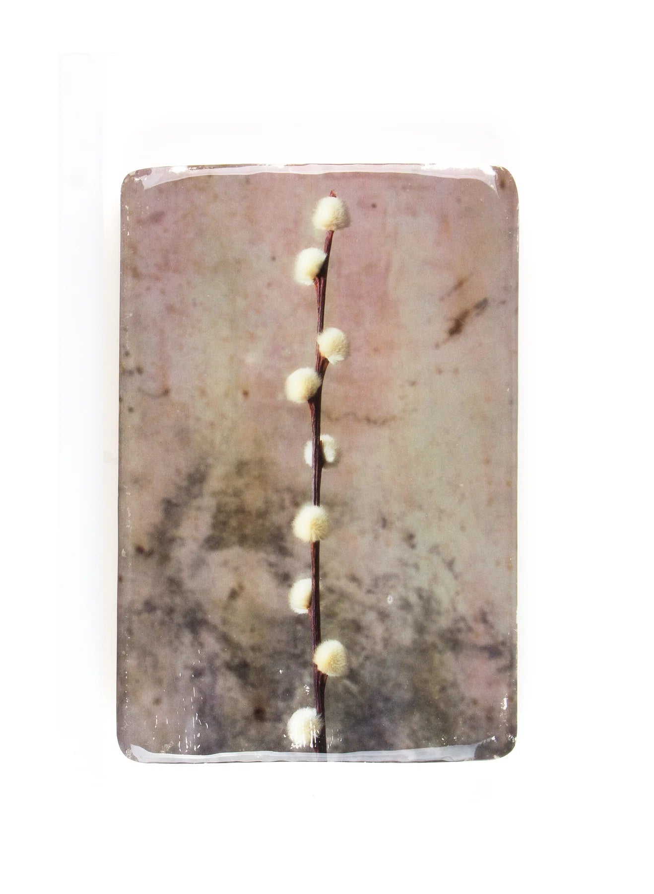 StigerWoods wooden tile Willow Catkin