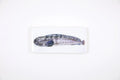 StigerWoods wooden tile Wolffish