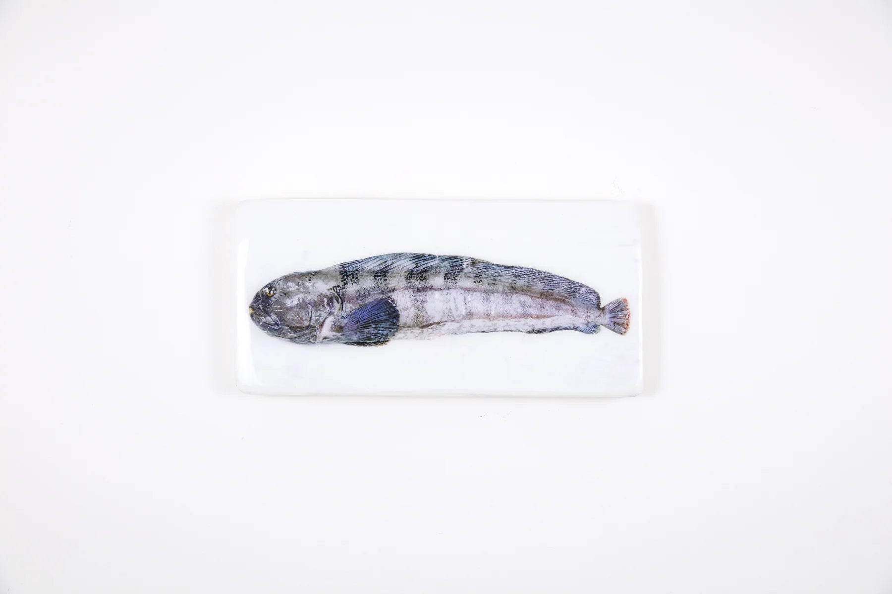 StigerWoods wooden tile Wolffish