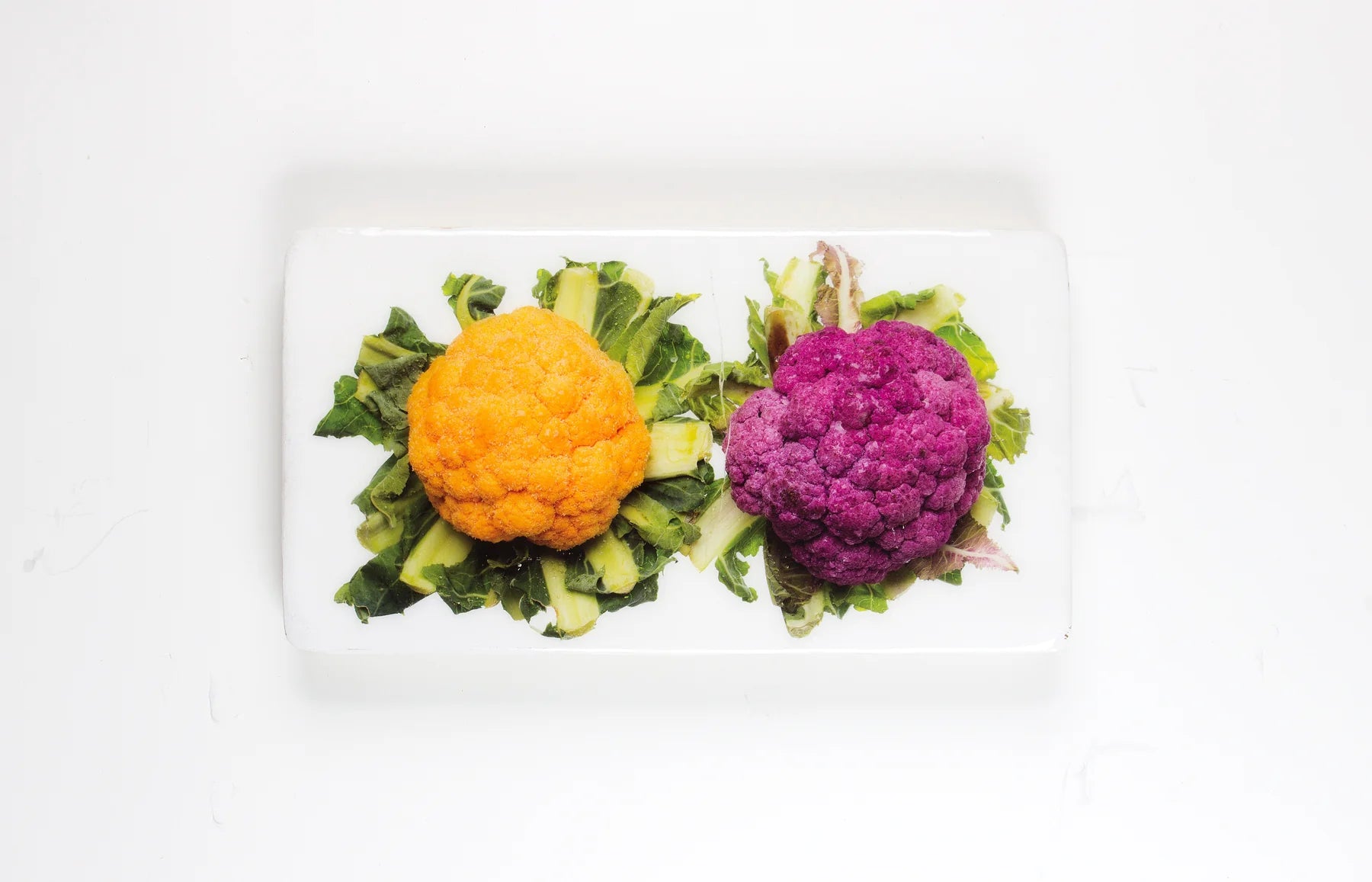 StigerWoods wooden tile Yellow and Purple Cauliflower