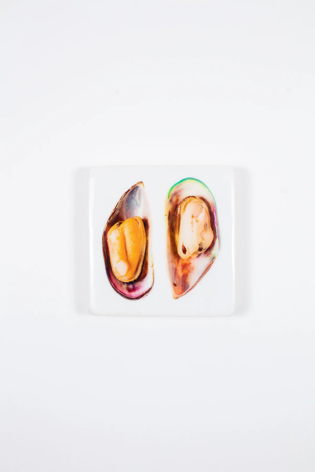 StigerWoods wooden tile Yellow and White Mussel