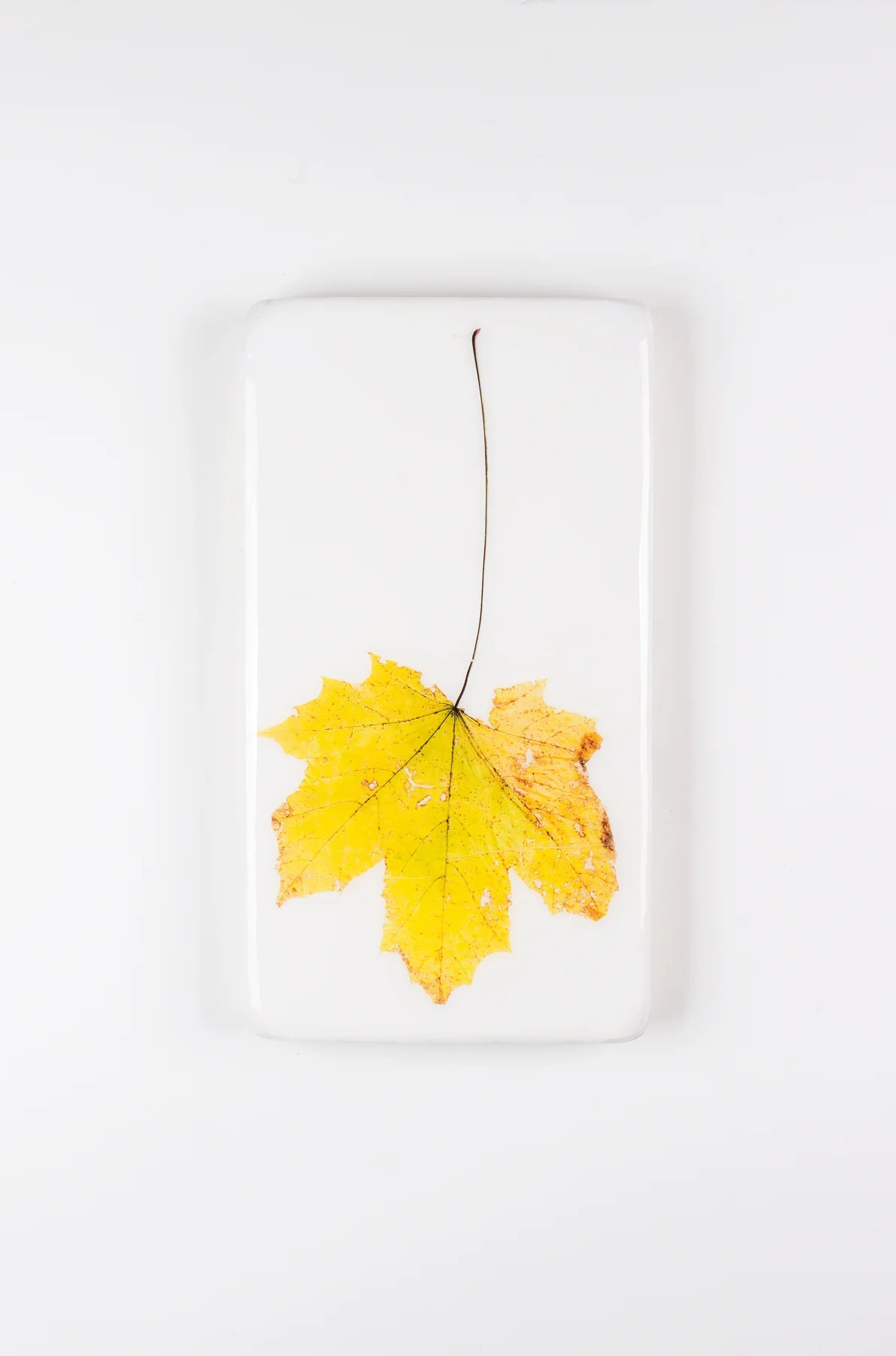 StigerWoods wooden tile Yellow Planetree Leaf