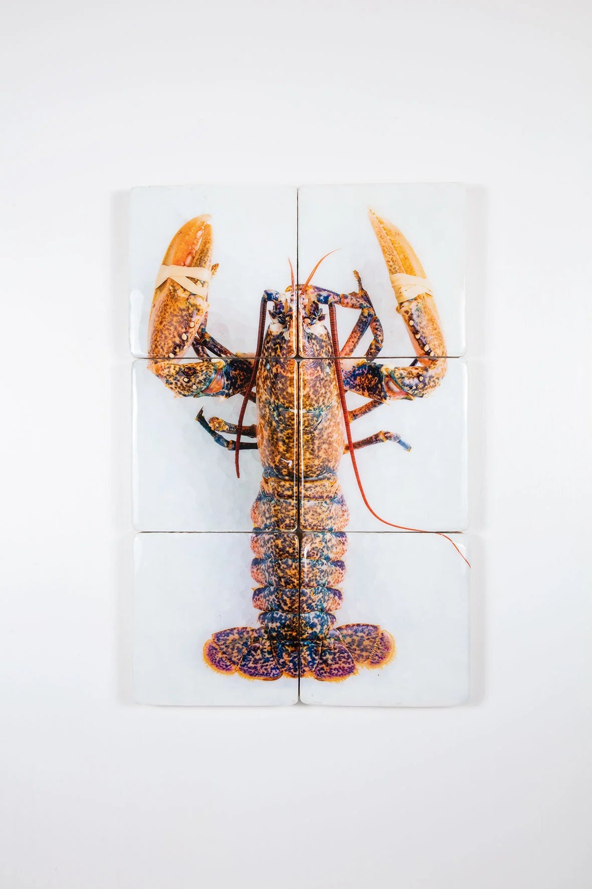 StigerWoods wooden tile Yellow European Lobster