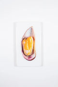 StigerWoods wooden tile Yellow Mussel