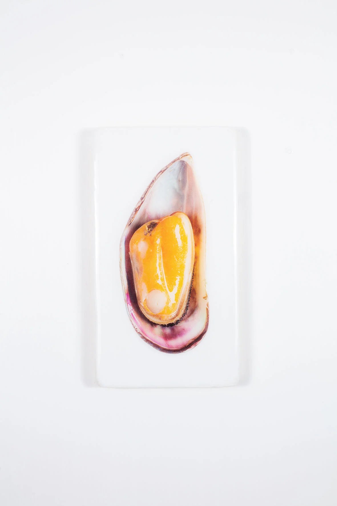 StigerWoods wooden tile Yellow Mussel