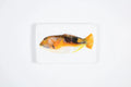 StigerWoods wooden tile Orange Parrot Fish