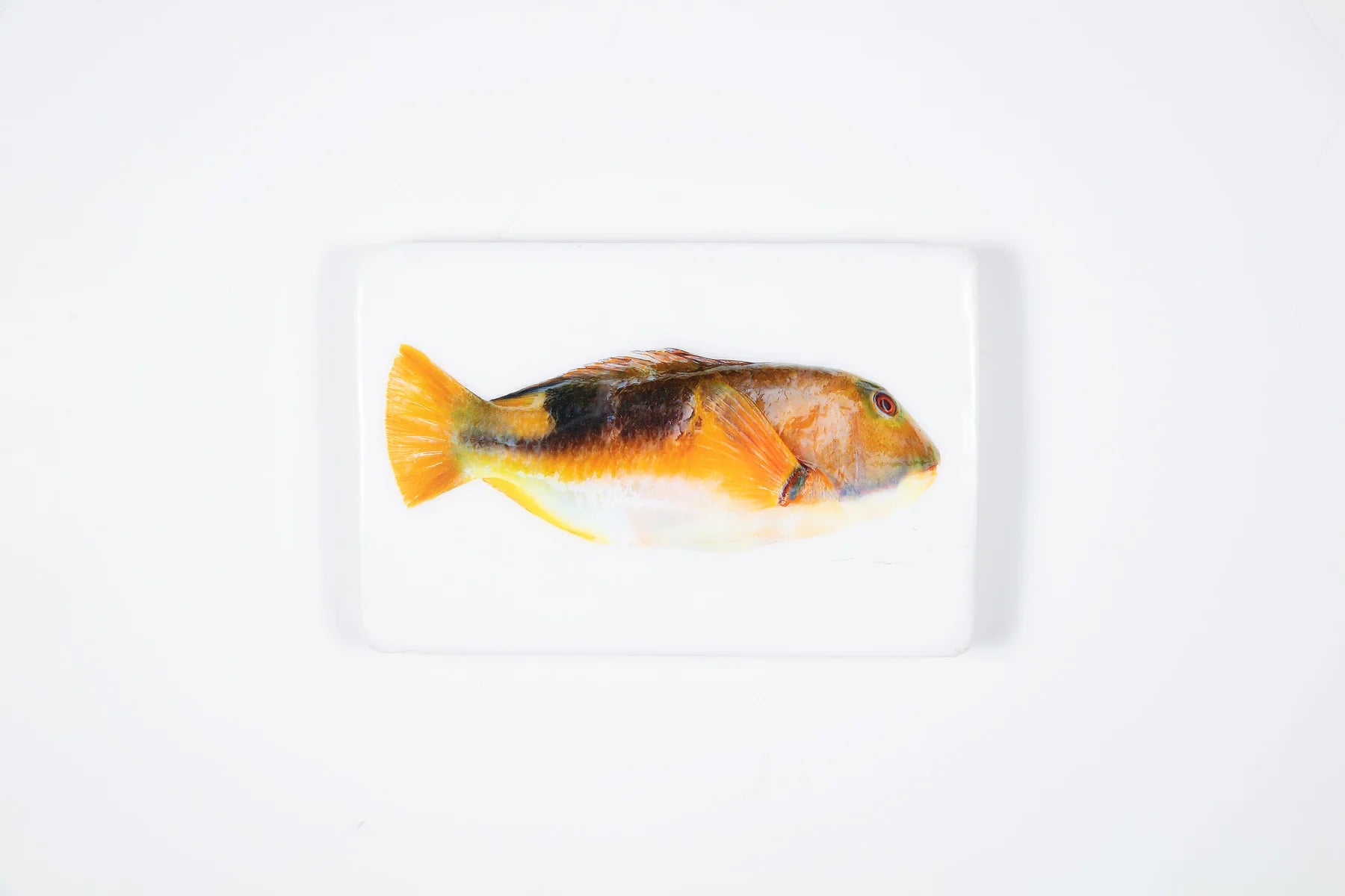 StigerWoods wooden tile Orange Parrot Fish