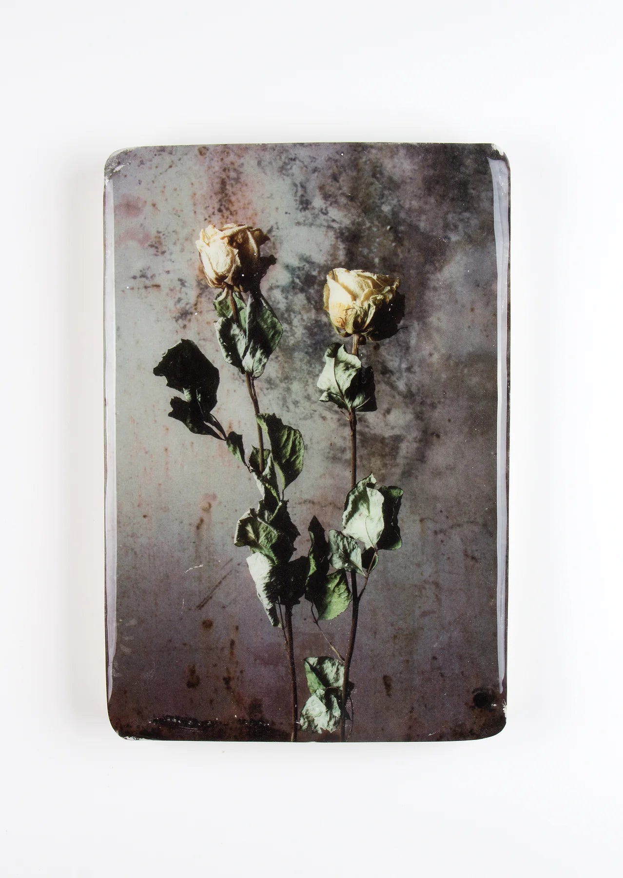 StigerWoods wooden tile Yellow Roses