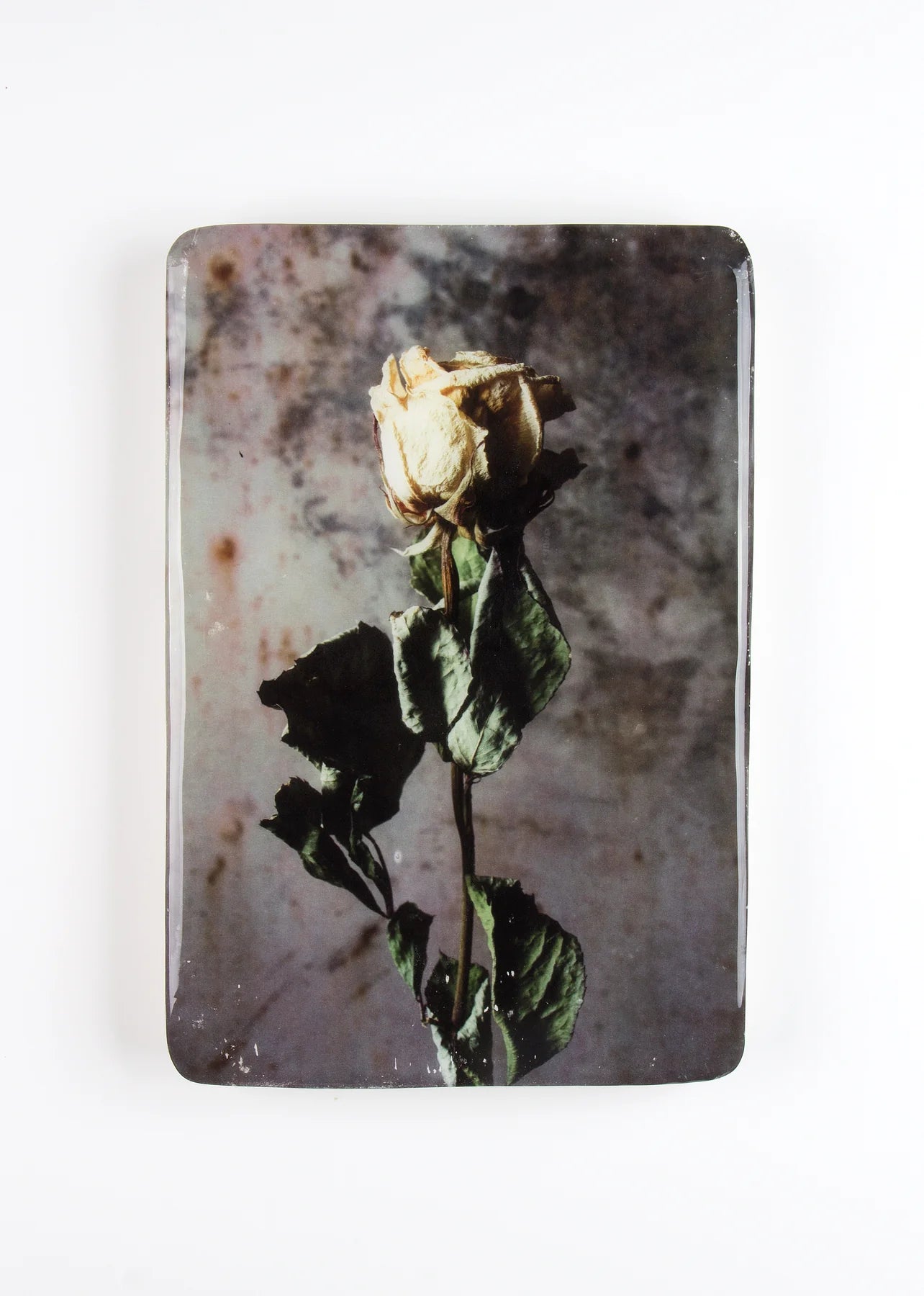 StigerWoods wooden tile Yellow Roses