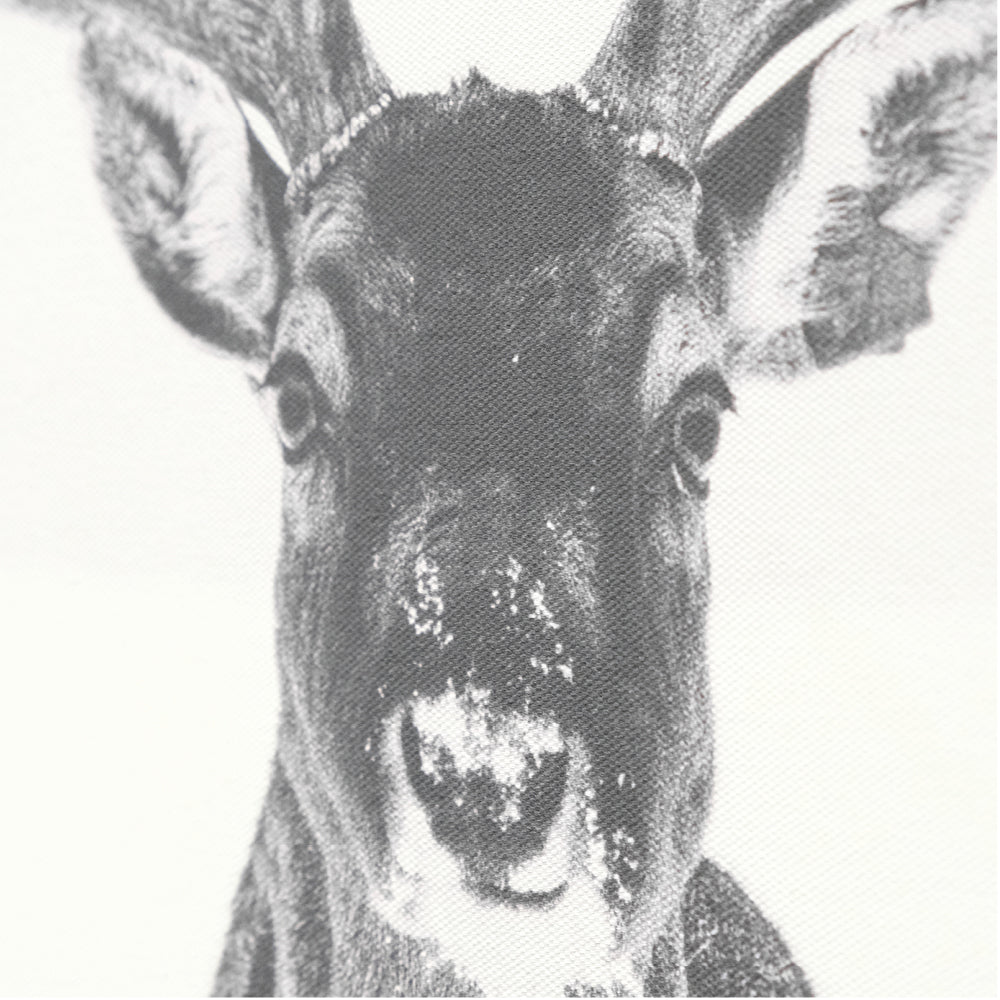Dock Four Stylepads Oh Deer