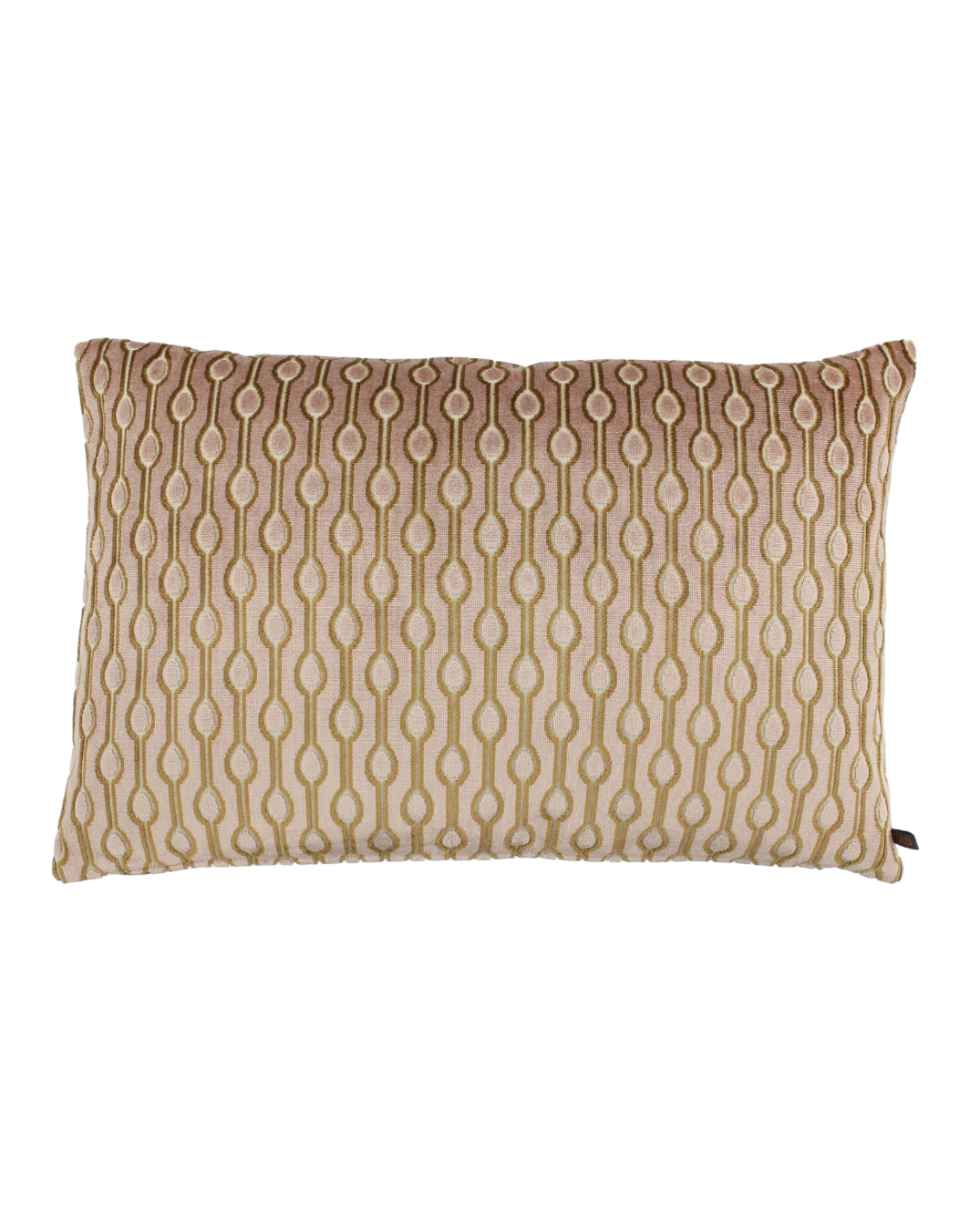 Claudi Leonardo kussen